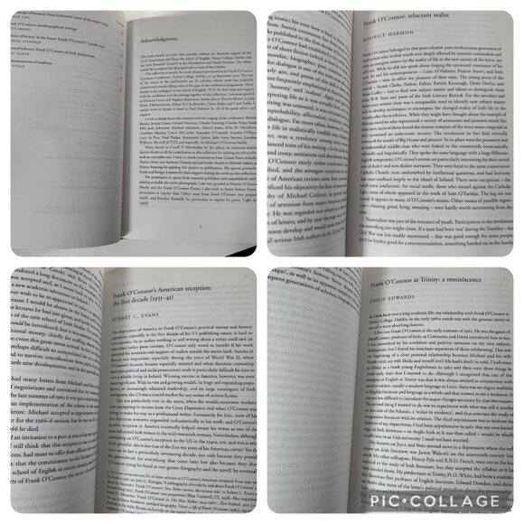 Frank O'Connor Critical Essays 2007 Edited by Hilary Lennon HC Four Courts Press - Picture 5 of 16